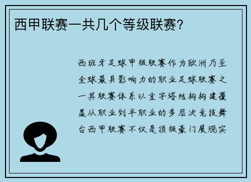西甲联赛一共几个等级联赛？